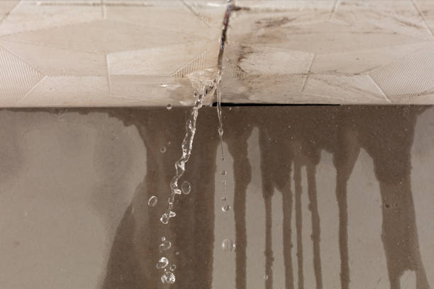 Professional Structural Drying technician working in Bow, NH